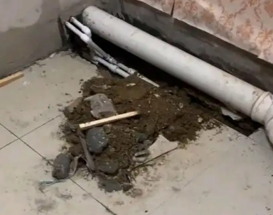 尼玛卫生间漏水检测哪家好