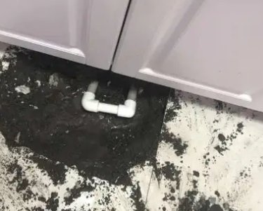 尼玛查漏水哪家好